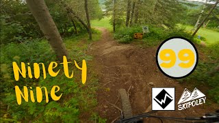 Ninety Nine // Poley MTN