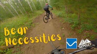 Bear Necessities // Poley MTN
