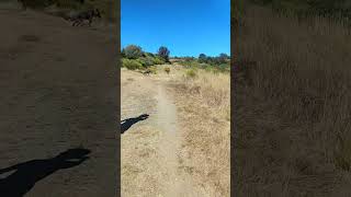 Day Hiking De paseo con la family  #shorts...