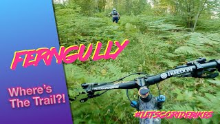 FernGully Trail Preview | #letsgoridebikes