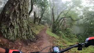 Sierra Morena Trail, El Corte Madera Creek