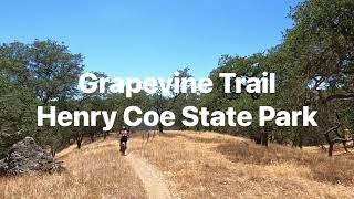 Grapevine: Henry Coe