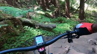 Enchanted Loop Multi Trail Santa Cruz California