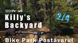 Bike Park Postăvarul  Blue Line Killy's...