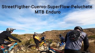 StreetFighter, Cuervo, SuperFlow y Peluchete ...