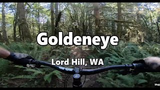 Goldeneye | Mountain Bike Lord Hill, WA