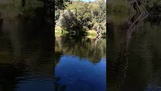 The river of life ️ paseando por el Omaña...