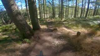 Cademuir Mountain Biking Trails Trailforks