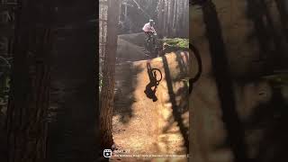 Whistler biking short