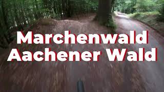 Märchenwald - Aachener Wald