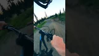 TITLE LINE - SILVERSTAR BIKE PARK