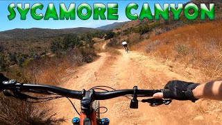 Sycamore Canyon Trails - Mountain Biking