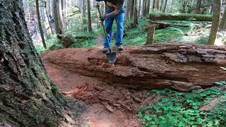 Siouxon Creek || Before and After the Big...