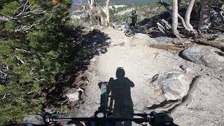 Velociraptor - Mammoth Bike Park 8/20/22
