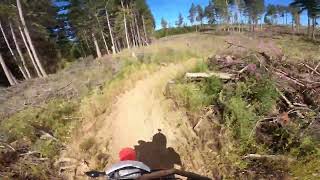 Blue Ringer Uphill