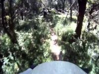 Menagesha Monkey Machete Mayhem