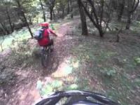 Trail 11, Menagesha, Ethiopia, Oct 10, 2015