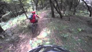 Trail 11, Menagesha, Ethiopia, Oct 10, 2015