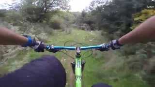 Riding hardtail at local trail