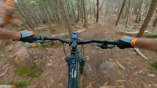 Upper Rookie River // Sugarloaf Mountain // Maine