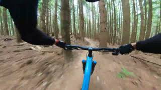 Tiger Mountain MTB: East Tiger Summit
