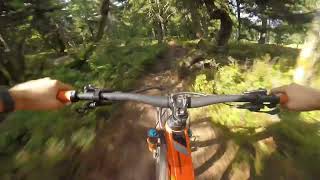 Crazy Dad - Family Bike Park Zieleniec