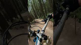 Riding The Best Jump Trail On The North Shore,...