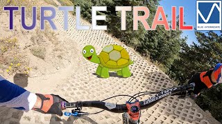 Turtle Trail - Snow Summit - Full Pull - MORE...