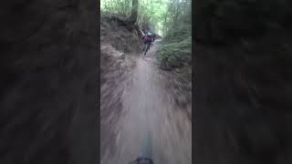Canyon - Massa Marittima