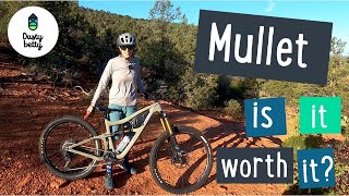 Going Mullet - Ibis Ripmo - Women's Mountain...