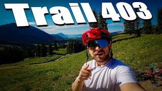 A must ride trail in Crested Butte! || Trail 403