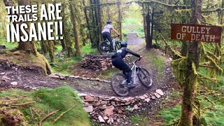WE HAVE NEVER RIDDEN SECRET TRAILS THIS GOOD!! 