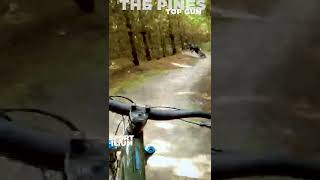 TOP GUN FLYBY #shorts #mtb