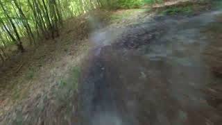 Stare NS-y : szybki singletrack w Dolinie...