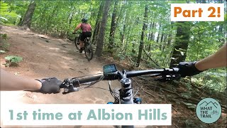 Albion Hills - Gnarly Berms