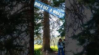 There was what on the trail!?