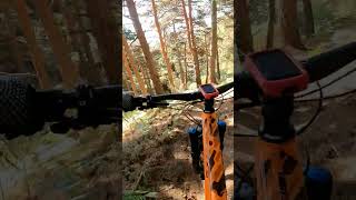 No Flow No Life  #shorts #mtb #enduro...