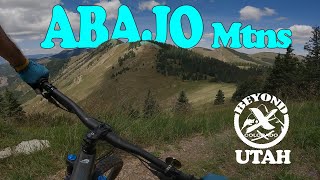 Beyond | Abajo Mountains