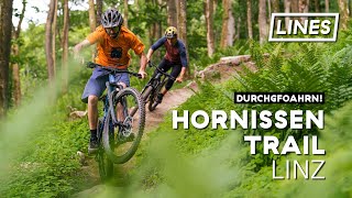 Hornissen Trail - Linz/Steyregg | LINES