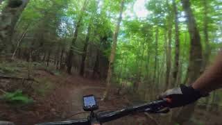 Fox Run & New T Trails at Kingdom Trails -...