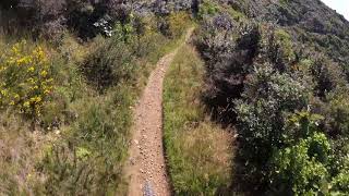 Barking Emu Trail, Hawkins Hill, Wellington, NZ