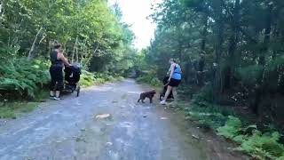 Bike Ride Moonlight Beach Trail Aug 31 2022