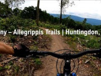 Stony (Up) - Allegrippis Trails | Huntingdon, PA
