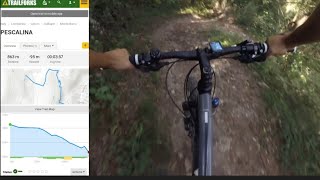Pescalina trail | mtb