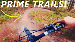 The Forest of Dean MTB trails are DUSTY!?