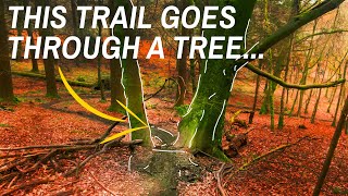 I TRIED TO MAKE MOUNTAIN BIKE ASMR AGAIN! -...