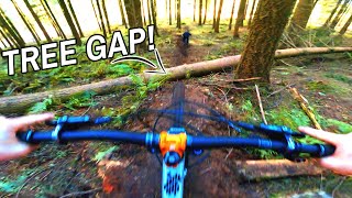 THEY BUILT THE SICKEST NEW TRAIL! (It has a...