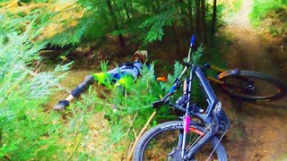 BIKE CRASHES & GNARLY SQUIRRELS - Riding...