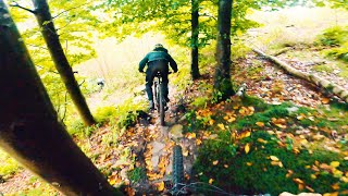 RIDING THE FOREST OF DEAN'S STEEP OFF-PISTE...