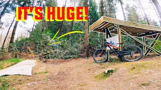 My first time riding PRO LINE features!